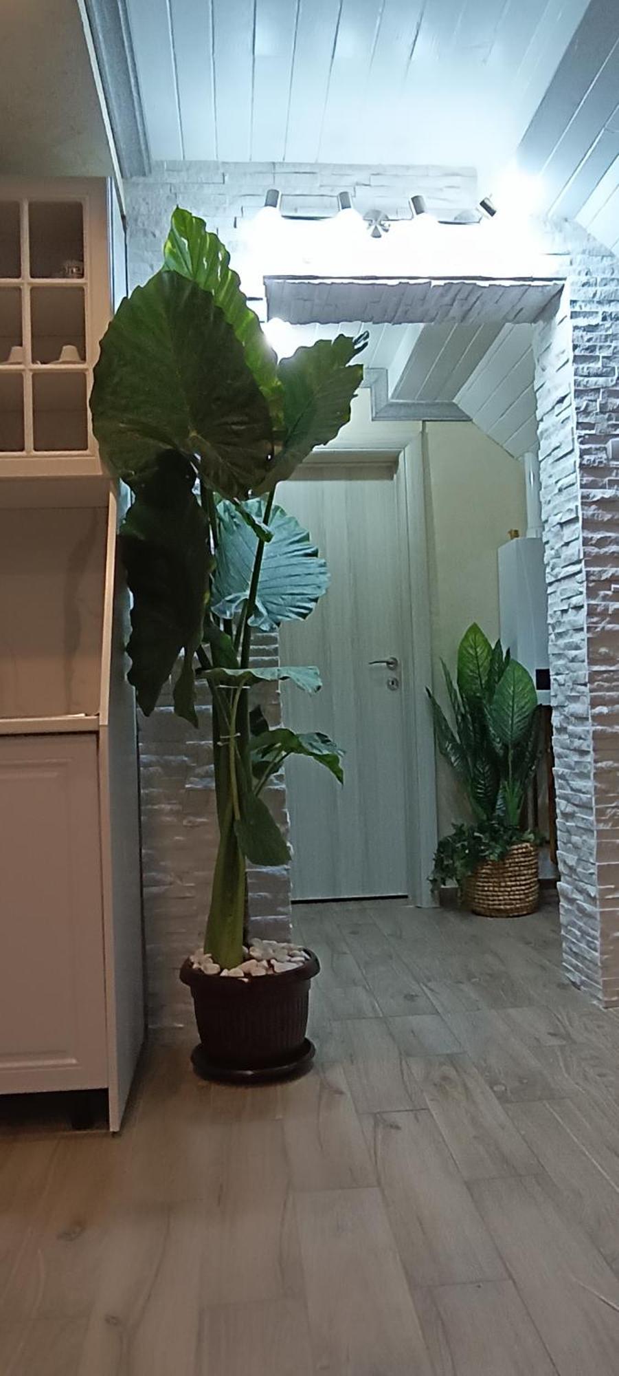 Rb Apartment 1 ปาลิช ภายนอก รูปภาพ